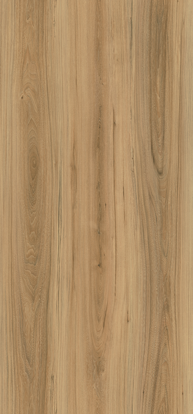 Sonae Sahara